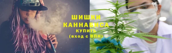 соль ск Заводоуковск