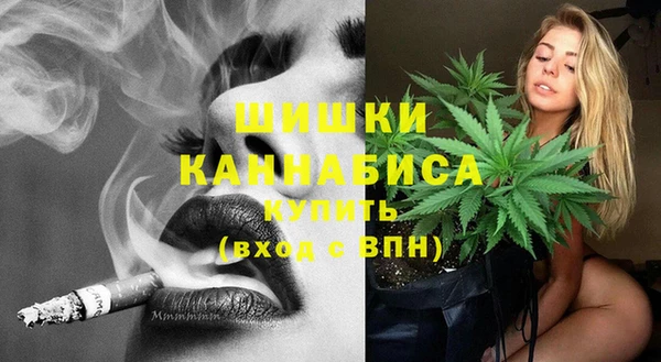 соль ск Заводоуковск