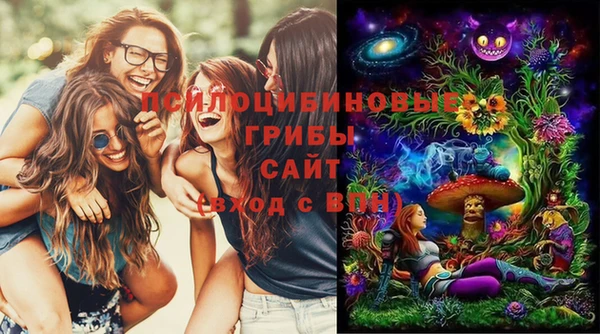 мдпв Зеленодольск
