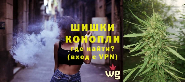 соль ск Заводоуковск